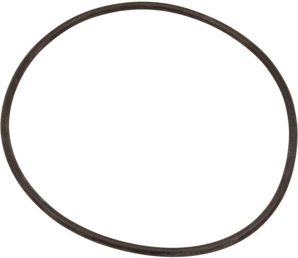 Pentair Buna-N O-Ring U9-389 – 60 Duro 9" Replacement Seal for Pool Equipment