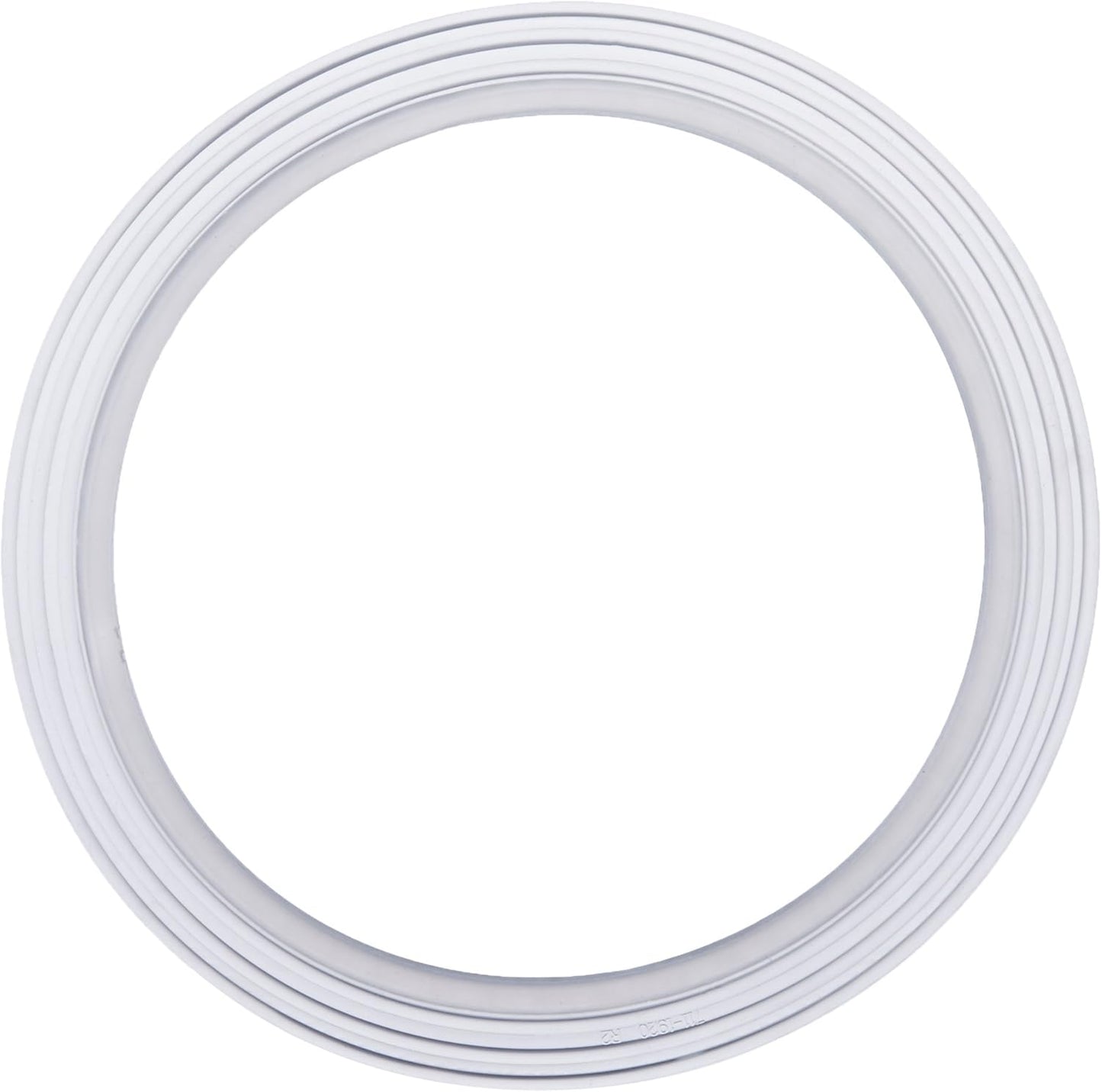 Waterway | 711-1920 | Collar Gasket – Clamp-Style Filter Collar Seal