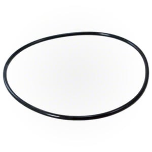 Pentair Clean & Clear/Posi-Clear Tank O-Ring | 87300400Z