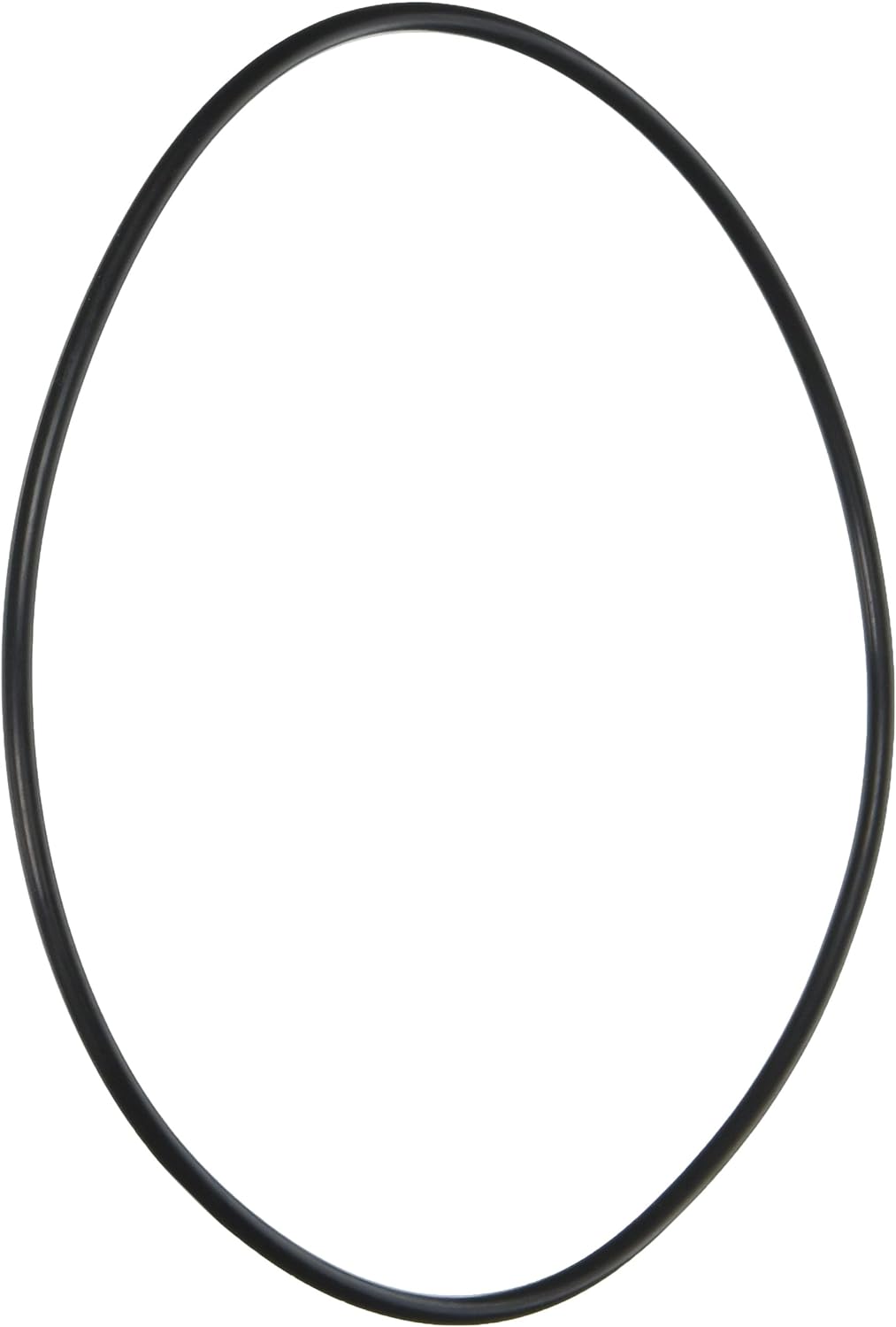 Pentair | LA415 | Booster Pump Seal Bracket O-Ring – TradeGrade Replacement Part