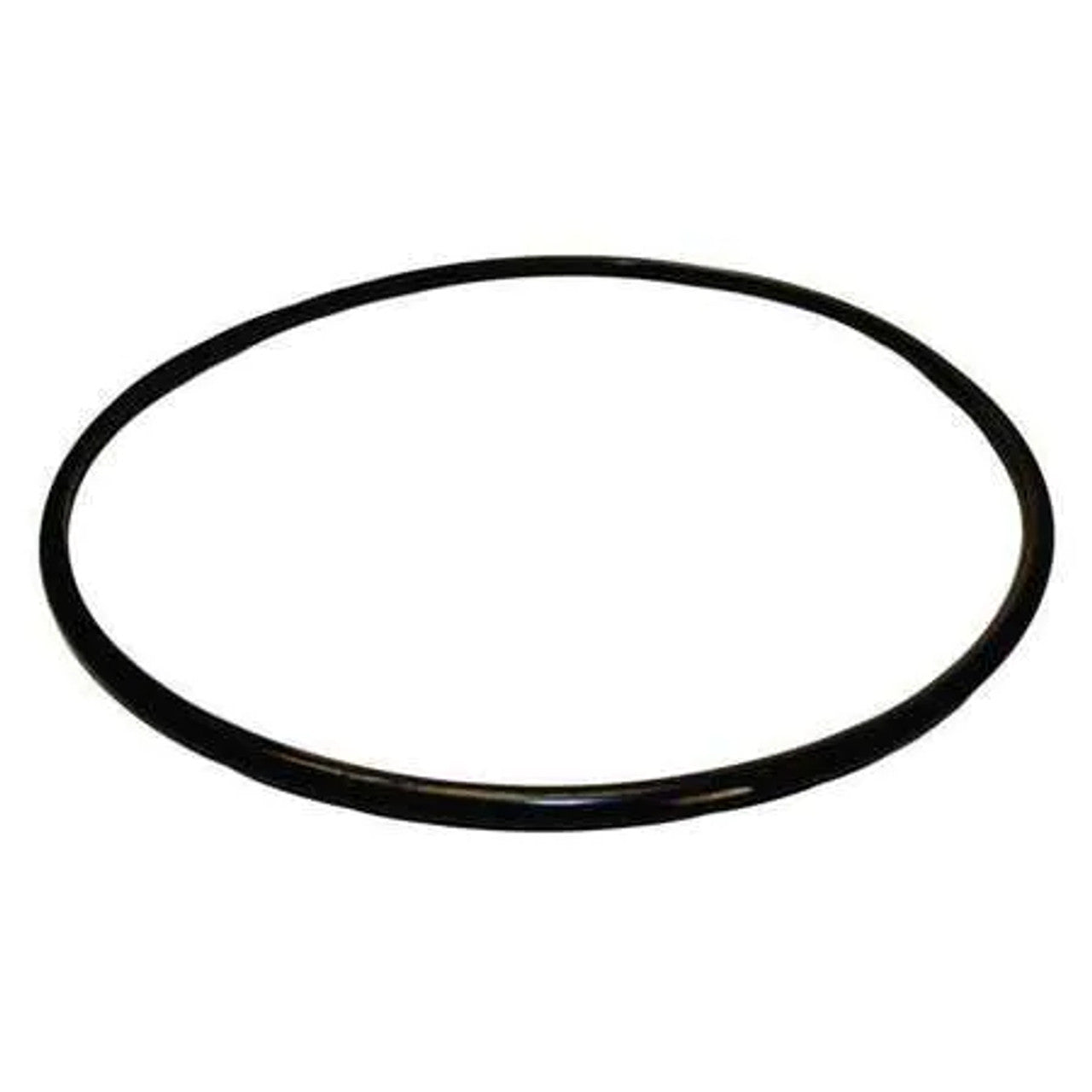 Pentair Seal Plate O-Ring U9-373Z – Reliable Replacement Seal for Pool Pumps & Filters
