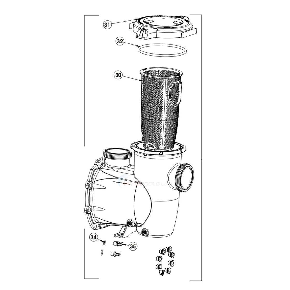 Pentair 356174Z Strainer Pot Kit — IntelliFlo3 VSF 1.5 HP Pump, Wet End Assembly — Genuine OEM