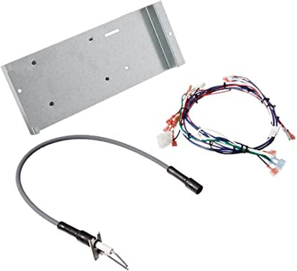 Hayward Ignition Module | IDXMOD1930