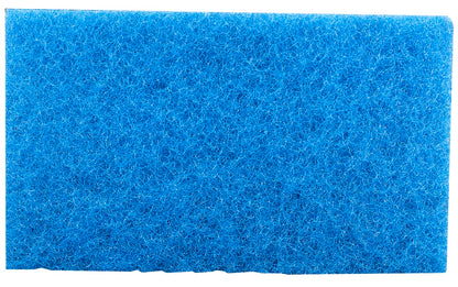 Hayward Spring Cleanup Filter, 2/Pack | RCX70103PAK2