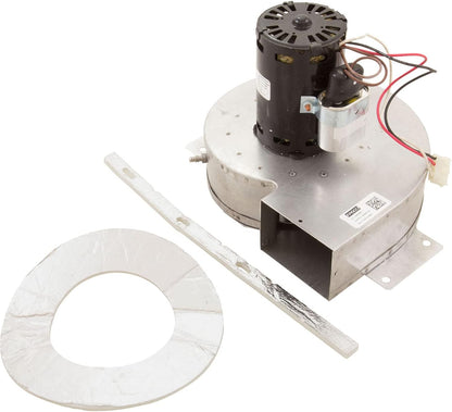 Hayward | IDXLBWR1931 | Combustion Blower 120Vac