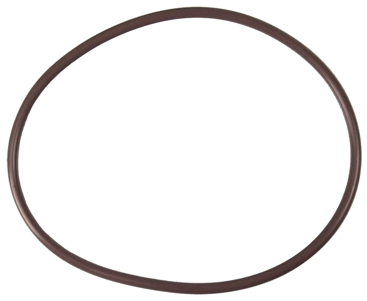 Pentair | R172240 | High-Capacity Chlorinator Lid-to-Housing O-Ring