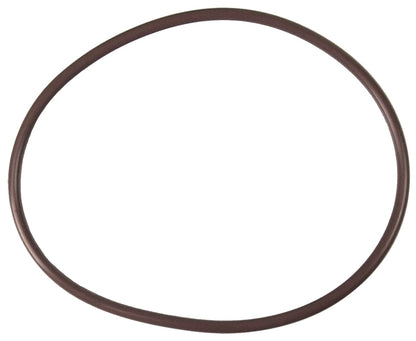 Pentair | R172240 | High-Capacity Chlorinator Lid-to-Housing O-Ring