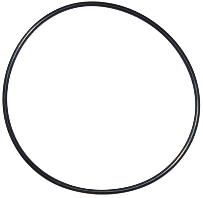 Pentair | U9-228AZ | Seal Plate O-Ring – Reliable Replacement Seal for Pool Filters