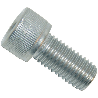 Polaris Adjustment Screw, Sweep Hose | B20