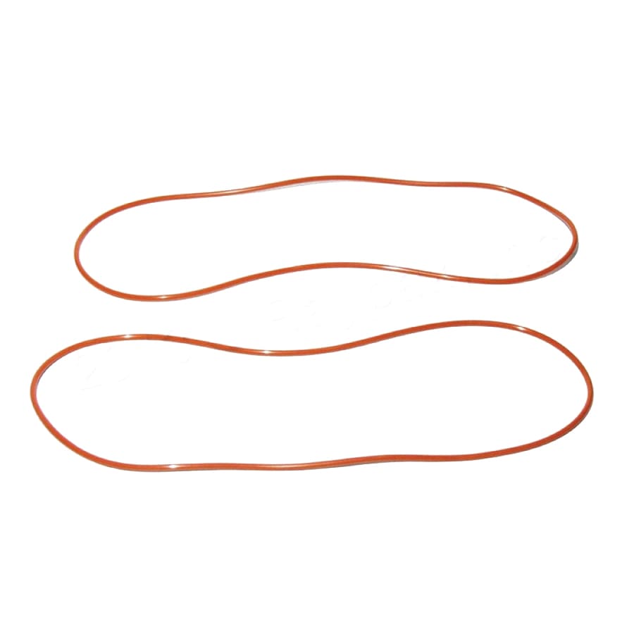 Raypak 006713F O-Ring Gasket, 2/Pack