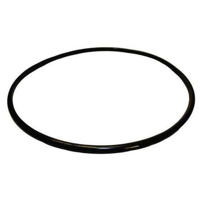 Pentair Seal Plate O-Ring U9-373Z – Reliable Replacement Seal for Pool Pumps & Filters