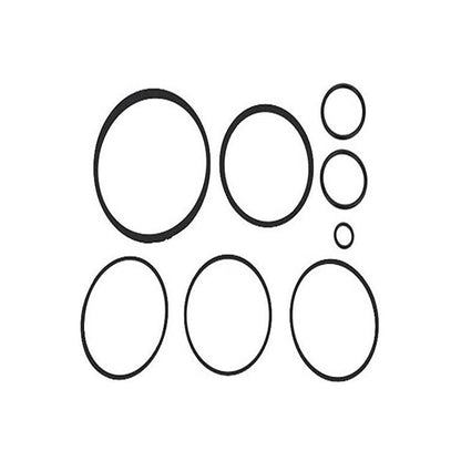Zodiac Nature2 Fusion O-Ring Kit R0502500 – Replacement Seal Kit for In-Ground Sanitizers